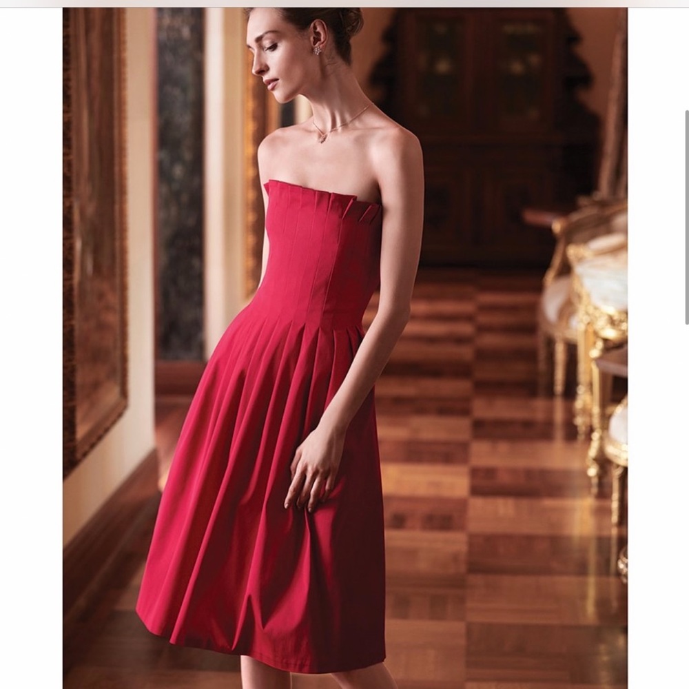 Antonio melani dress bloggers fav - Picture 7 of 16